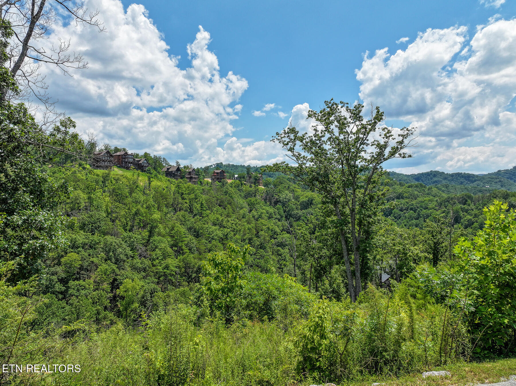 Lot 24 Coopers Hawk Way Sevierville, TN 37862 - Photo 7 of 9 Gregs_Drone_Pictures-18
