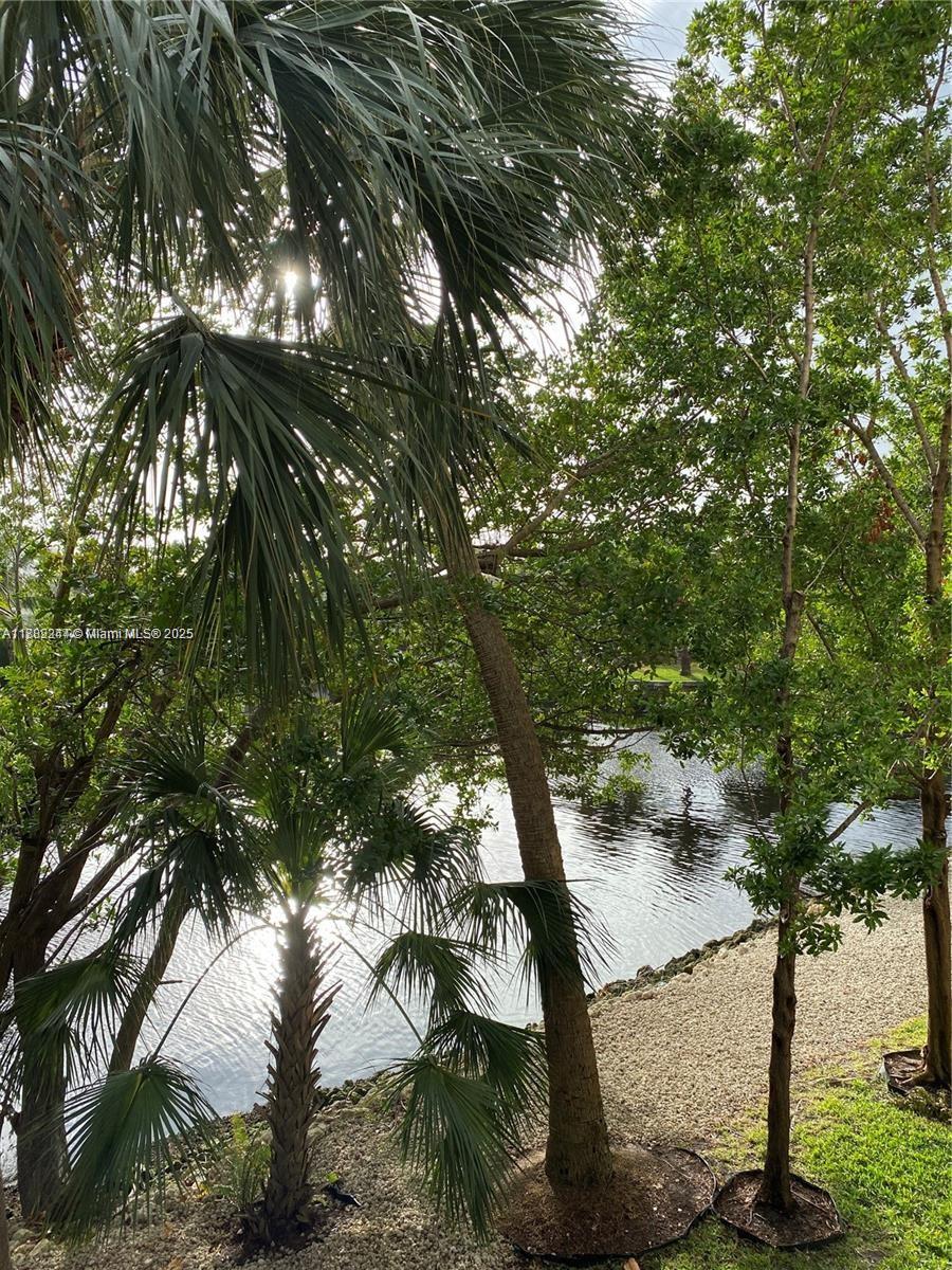 532 Southeast 1st Circle Pompano Beach, FL 33060 - Photo 37 of 57 a view of tree