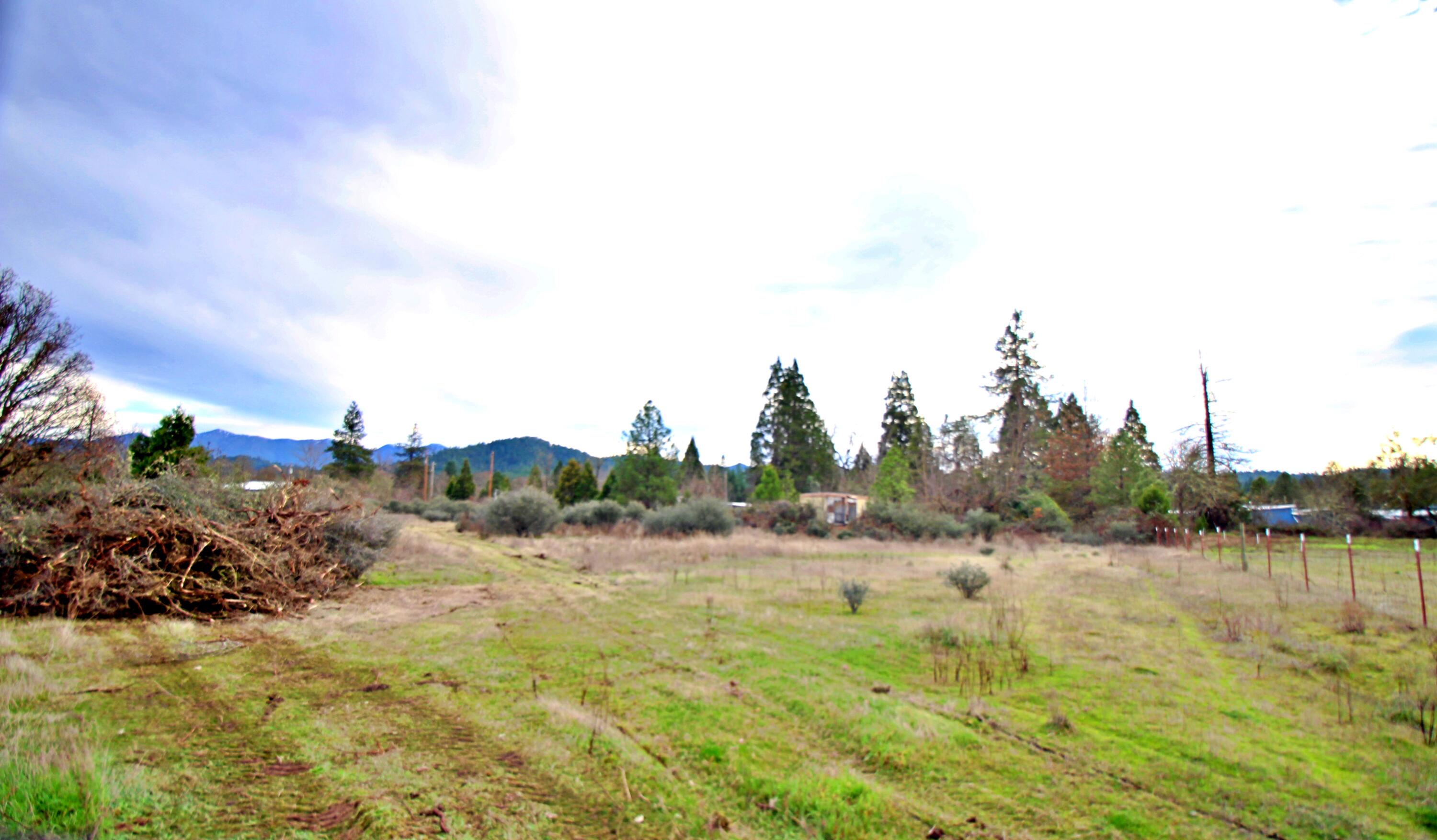 Field