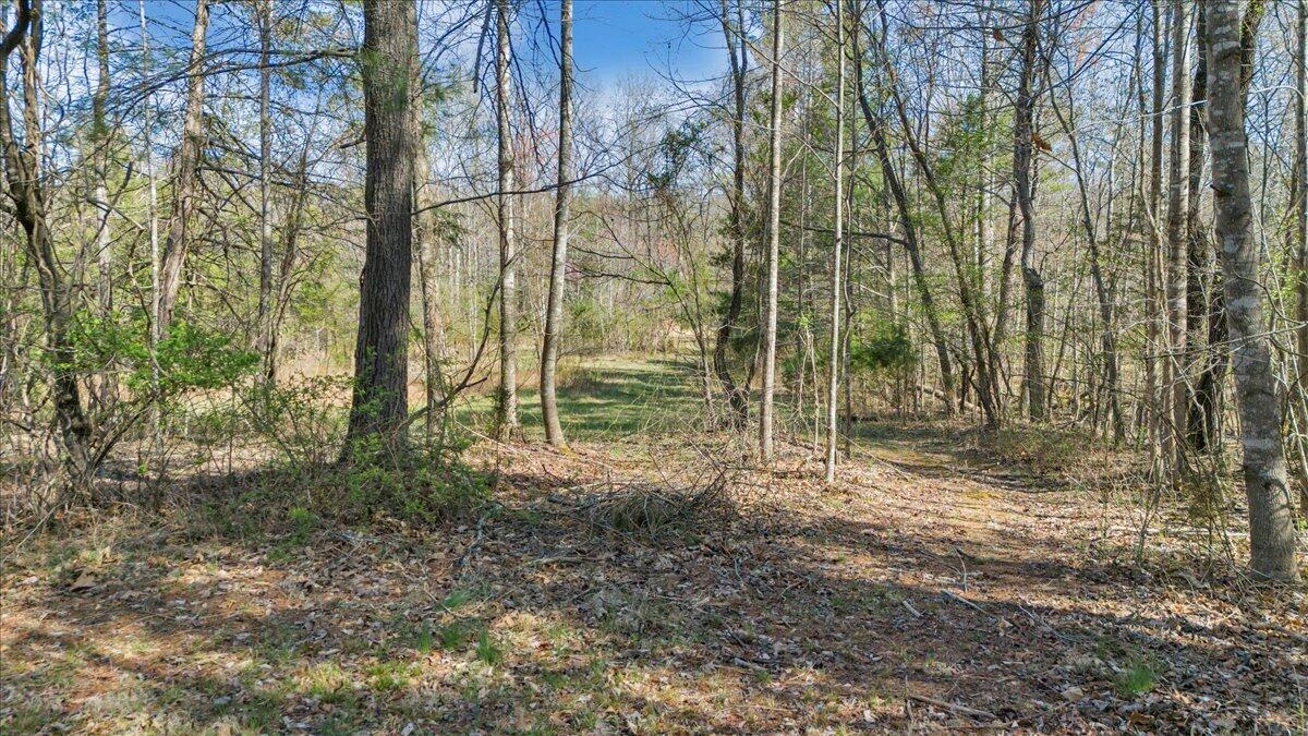 0 Timber Bridge Road Roanoke, VA 24018 - Photo 17 of 30 27-DJI_20250401104909_0087_D