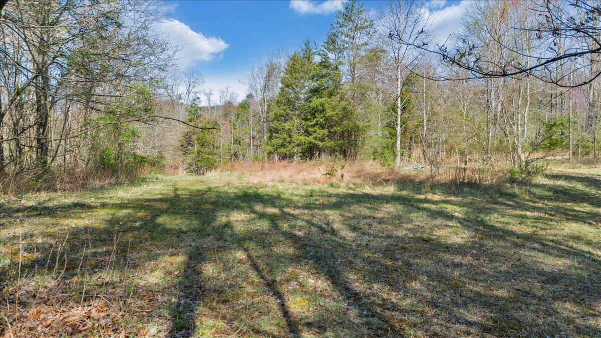 0 Timber Bridge Road Roanoke, VA 24018 - Photo 18 of 30 28-DJI_20250401104944_0089_D