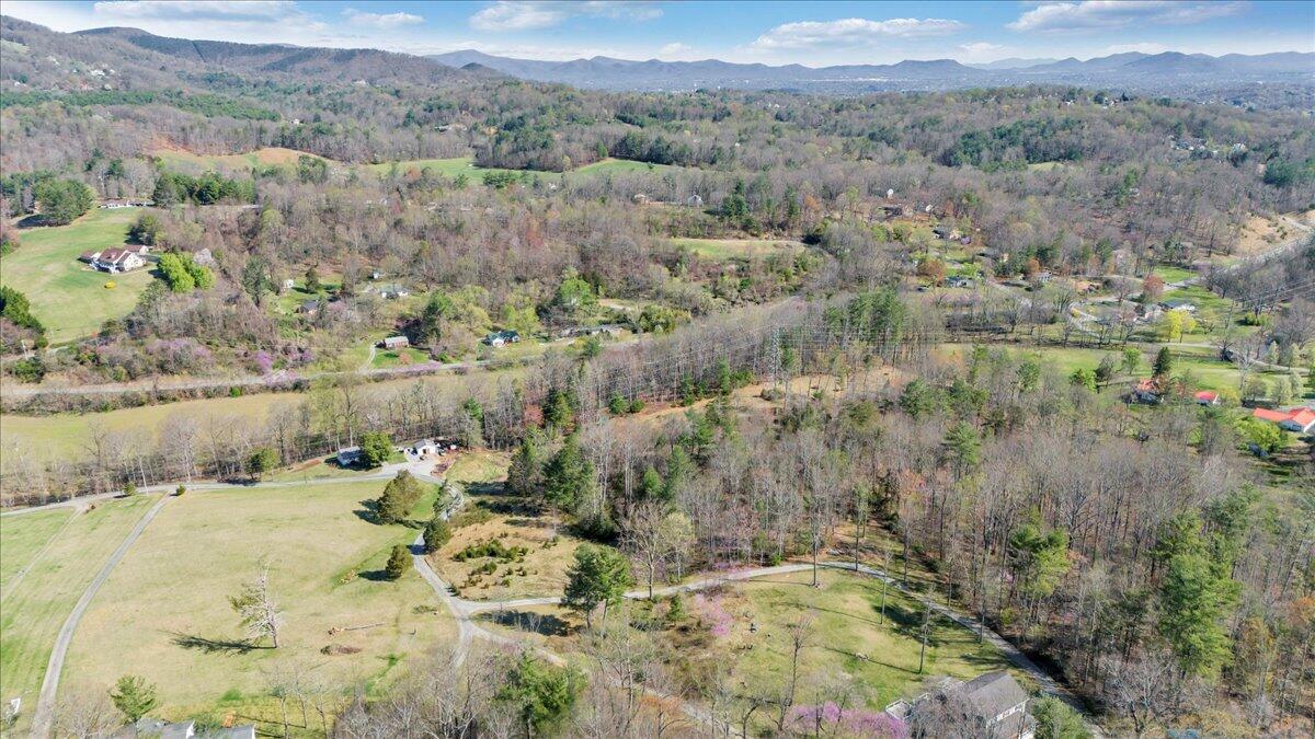 0 Timber Bridge Road Roanoke, VA 24018 - Photo 5 of 30 05-DJI_20250401103353_0060_D