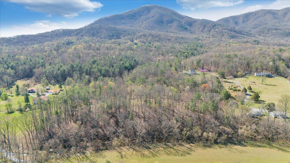 0 Timber Bridge Road Roanoke, VA 24018 - Photo 10 of 30 20-DJI_20250401104411_0076_D