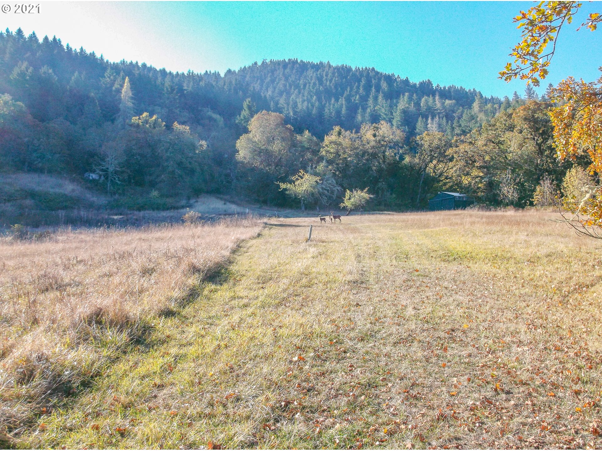 2424 Happy Valley Road Roseburg, OR 97471 - Photo 32 of 32 Gallery Image 32