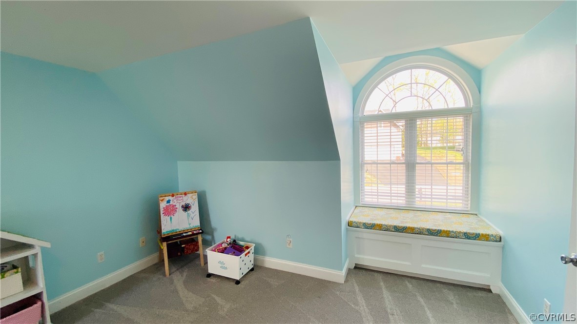 11844 Rimswell Turn Midlothian, VA 23112 - Photo 37 of 48 Gallery Image 37