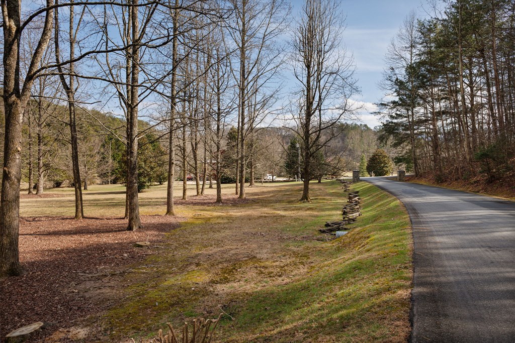105 River Road Cherry Log, GA 30522 - Photo 71 of 75