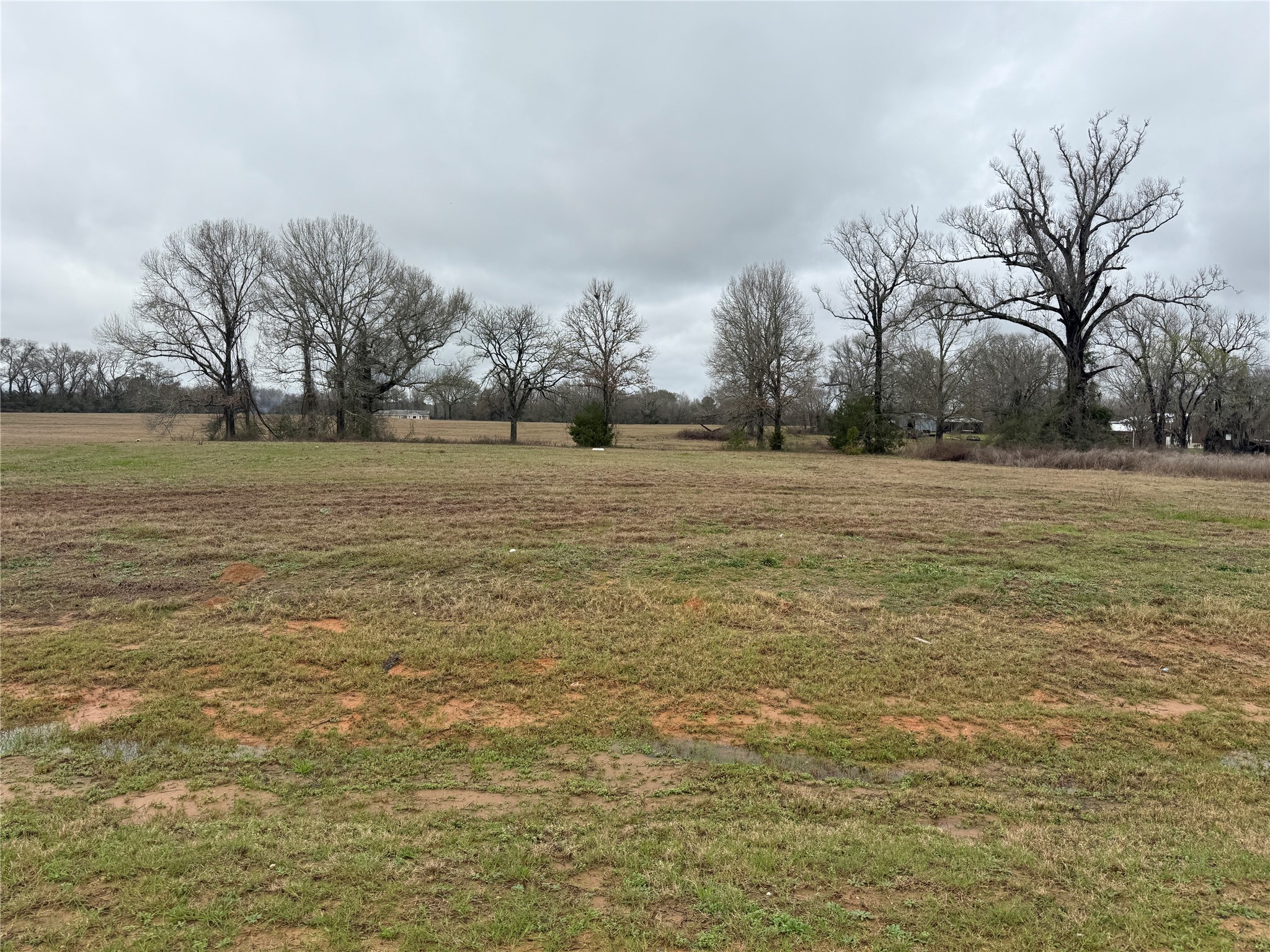 24835 Two Rivers Road Montgomery, TX 77316 - Photo 7 of 9 a view of a field with trees