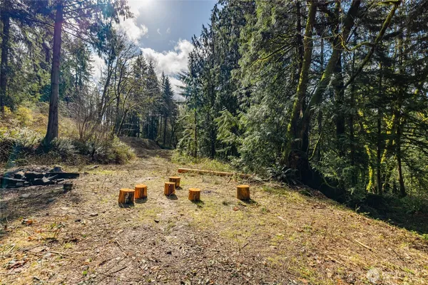 a white bath tub sitting in the middle of a yard