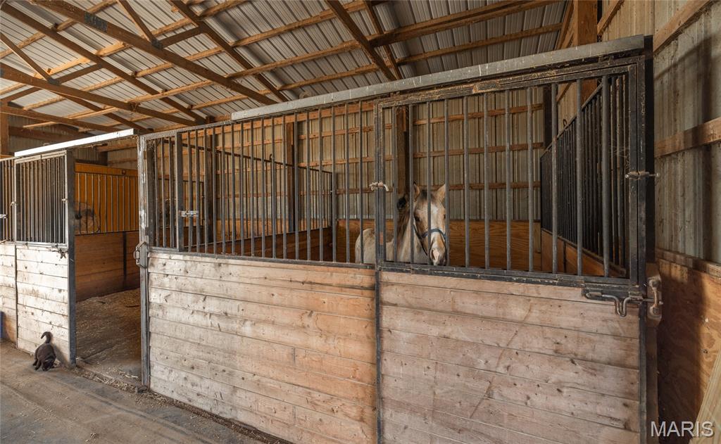 1740 Brier Creek Road Harrisburg, IL 62946 - Photo 39 of 52