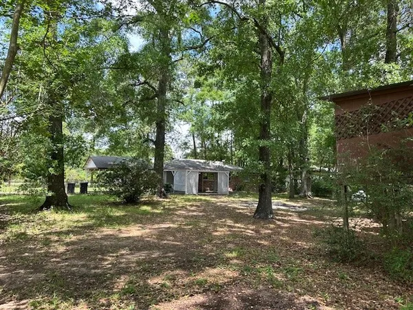 a view of a couches in a backyard