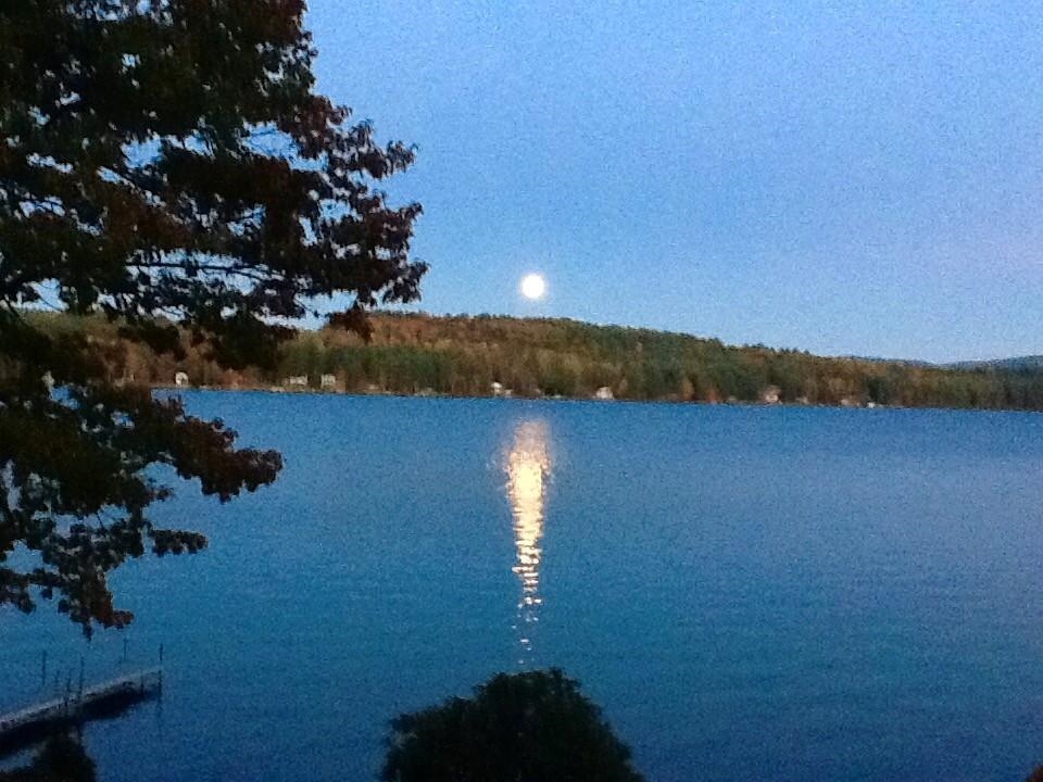 178 Black Brook Road Meredith, NH 03253 - Photo 58 of 60