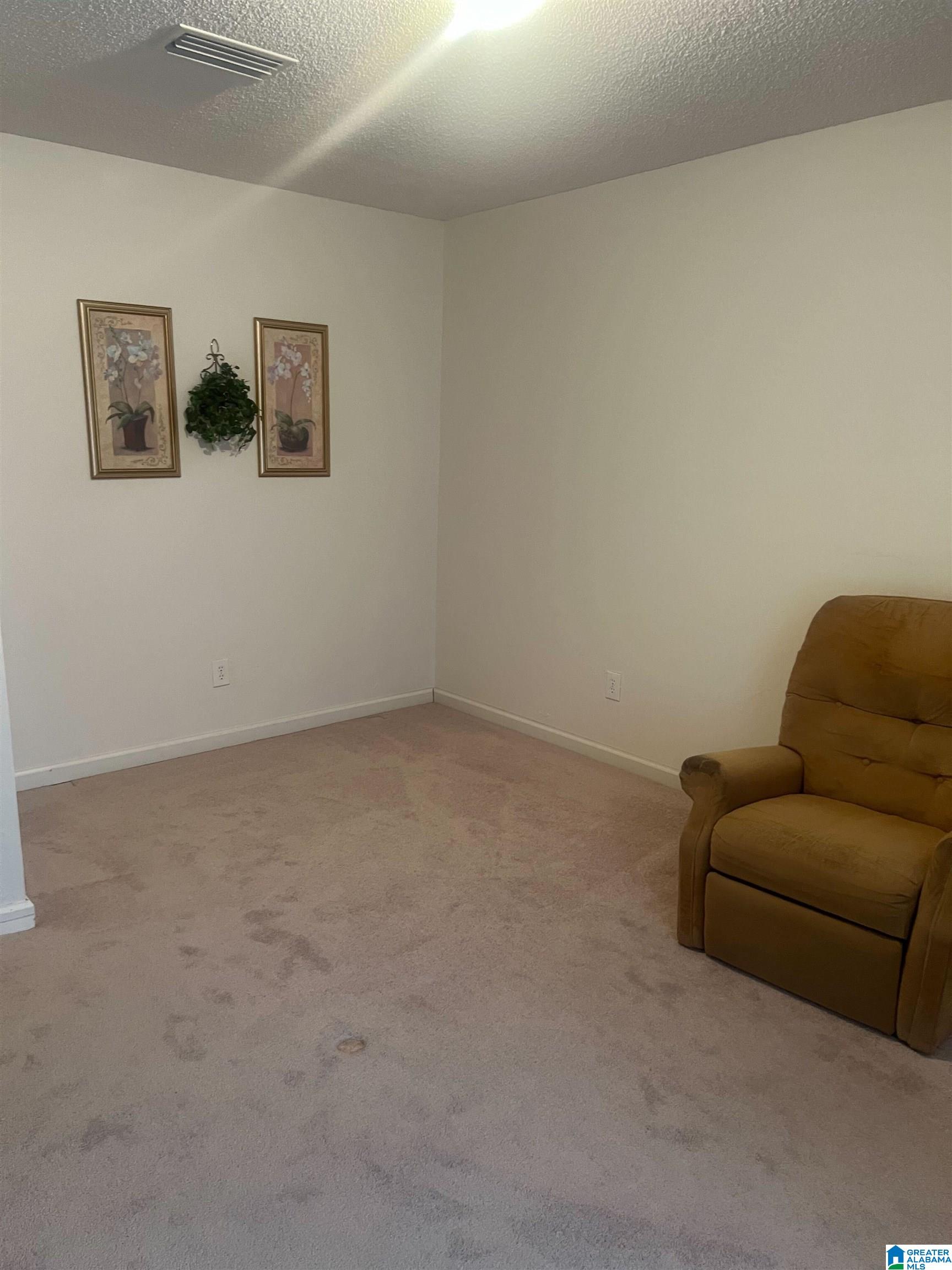 841 St Mary Road Gordon, AL 36343 - Photo 11 of 13