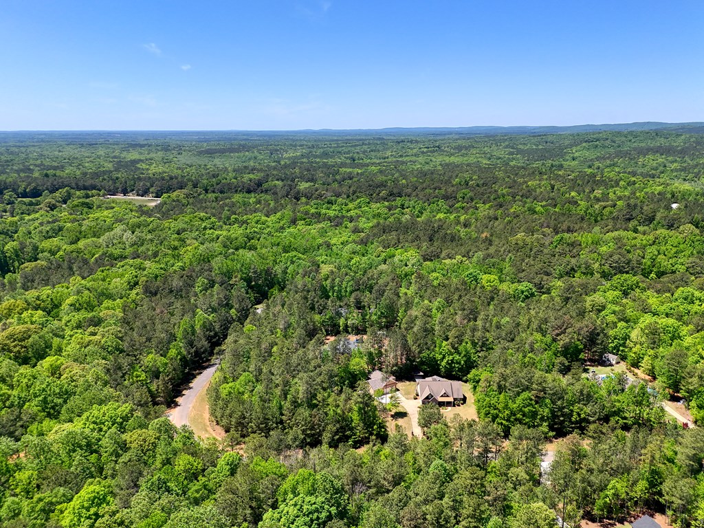 182 Oak Ridge Drive Waverly Hall, GA 31831 - Photo 63 of 67
