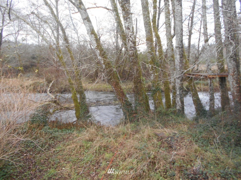 373 South Fork Road Raymond, WA 98577 - Photo 5 of 12 Gallery Image 5