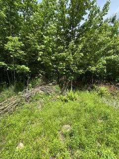 13 B Richardson Road Orrington, ME 04474 - Photo 4 of 10 IMG_0795