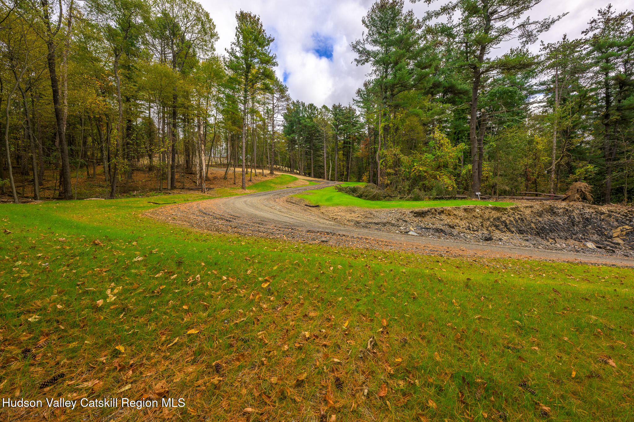162 Lk Rdg Lane Copake Lake, NY 12521 - Photo 2 of 14 a view of a yard with trees