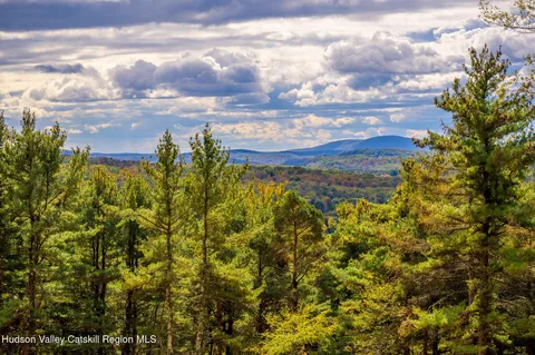 a view of a bunch of trees