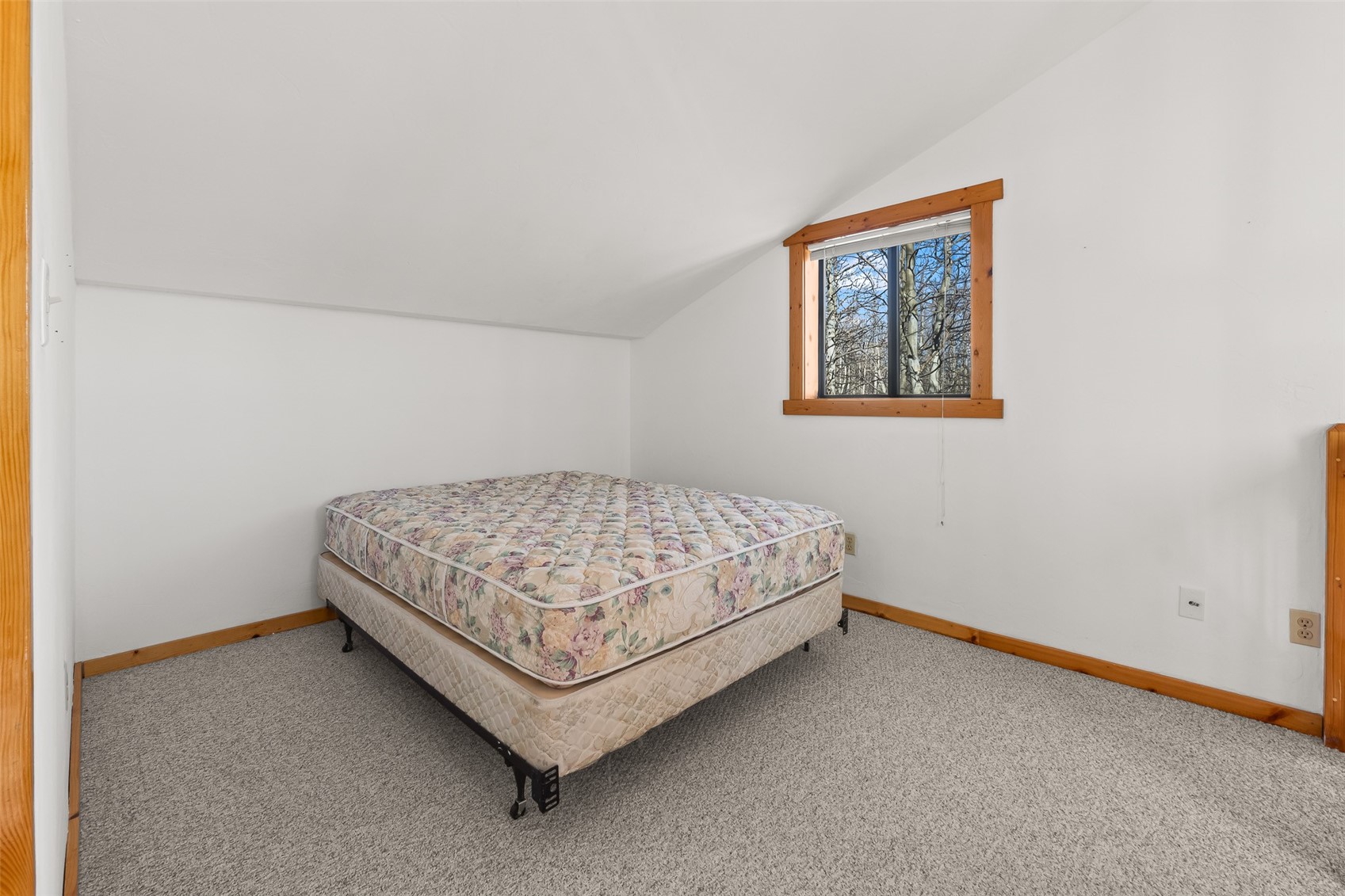 1793 Michigan Hill Road Jefferson, CO 80456 - Photo 29 of 49