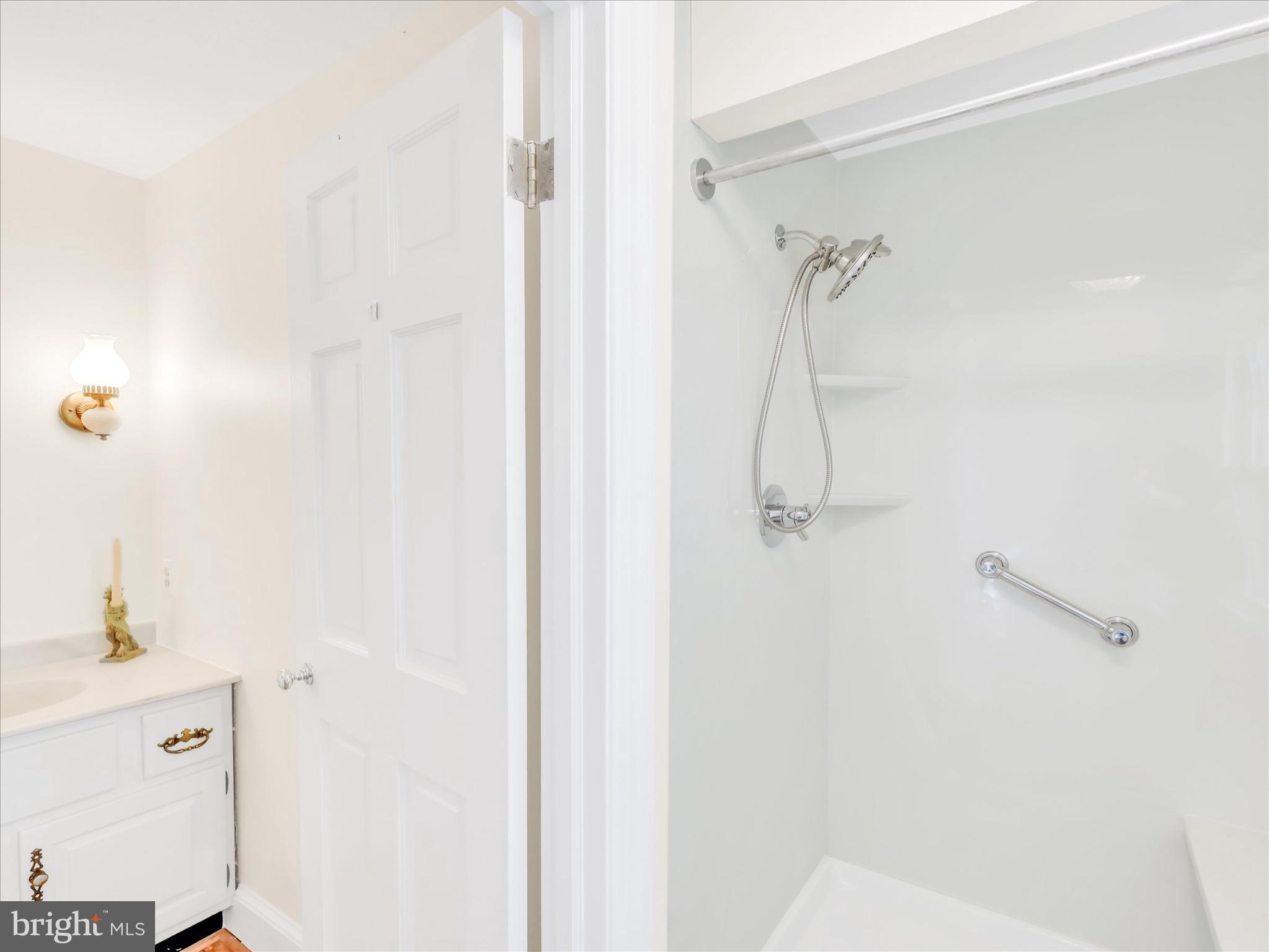 19255 Telegraph Springs Road Purcellville, VA 20132 - Photo 78 of 107 a bathroom with a shower