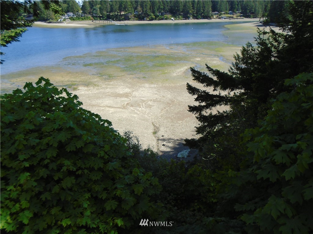 6219 Yeazell Road Southwest Longbranch, WA 98351 - Photo 20 of 27 a view of a lake view
