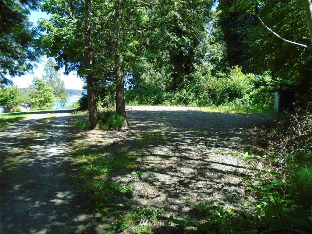 6219 Yeazell Road Southwest Longbranch, WA 98351 - Photo 27 of 27 a view of a tree with lots of trees