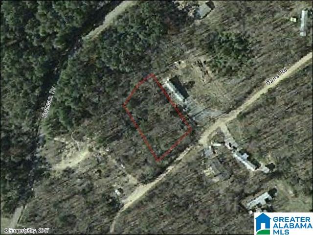 0 Dana Road, Unit 16 Oneonta, AL 35121 - Photo 1 of 1