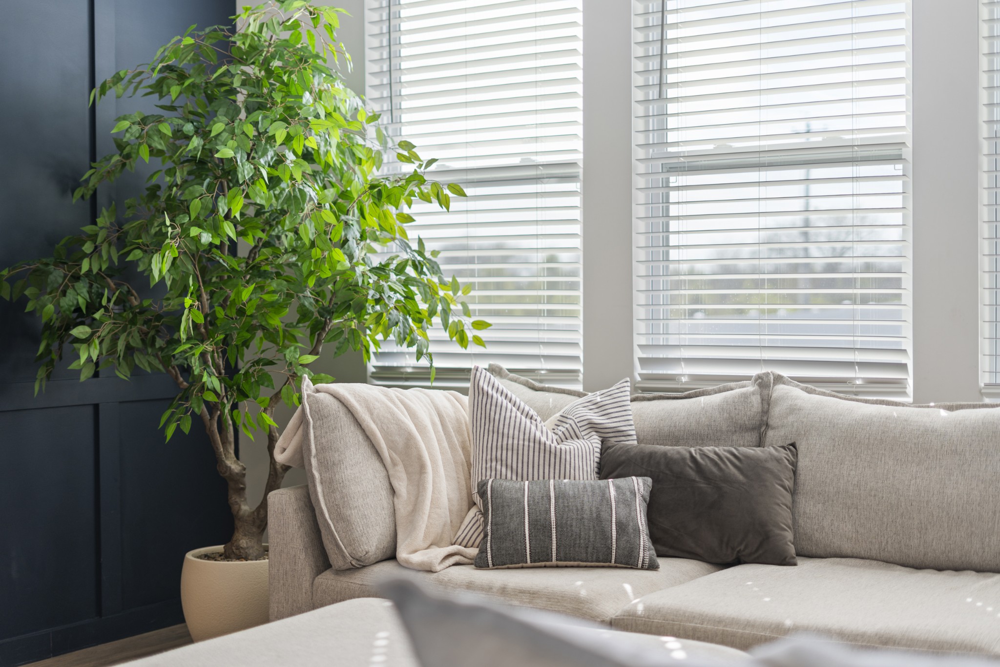 2301 Tintern Road Lebanon, TN 37087 - Photo 8 of 56 a living room with furniture and a potted plant