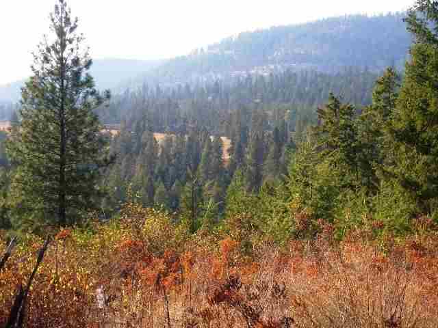 19-xx Addy-Gifford Road Addy, WA 99101 - Photo 1 of 5