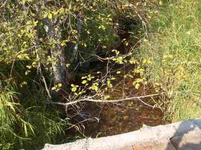 19-xx Addy-Gifford Road Addy, WA 99101 - Photo 2 of 5