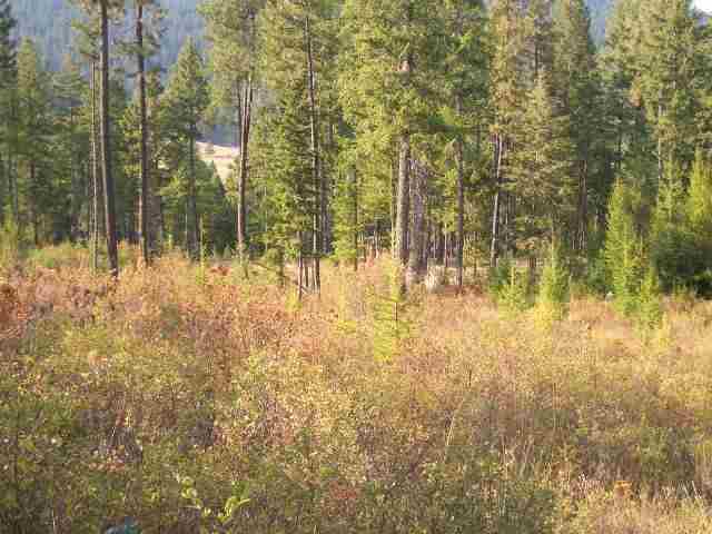 19-xx Addy-Gifford Road Addy, WA 99101 - Photo 3 of 5