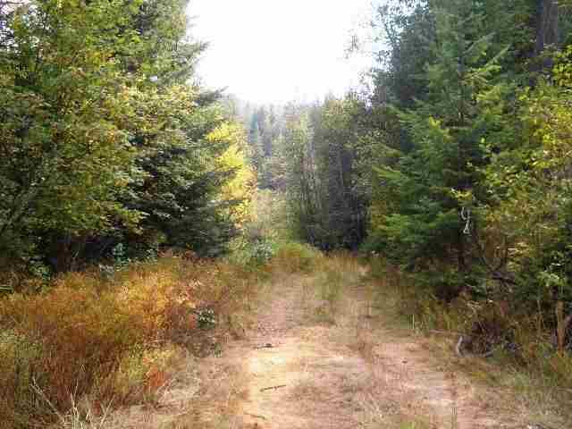 19-xx Addy-Gifford Road Addy, WA 99101 - Photo 4 of 5