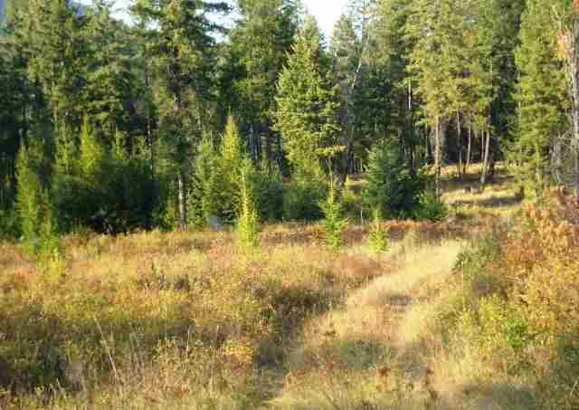 19-xx Addy-Gifford Road Addy, WA 99101 - Photo 5 of 5