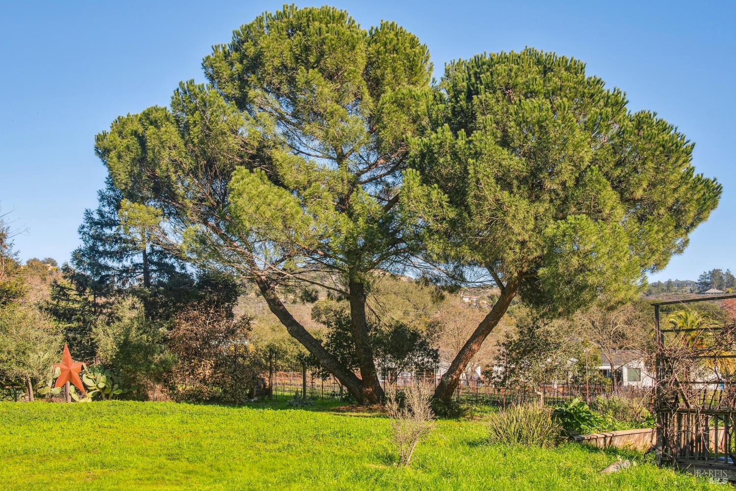 1795 Lovall Valley Road Sonoma, CA 95476 - Photo 36 of 38