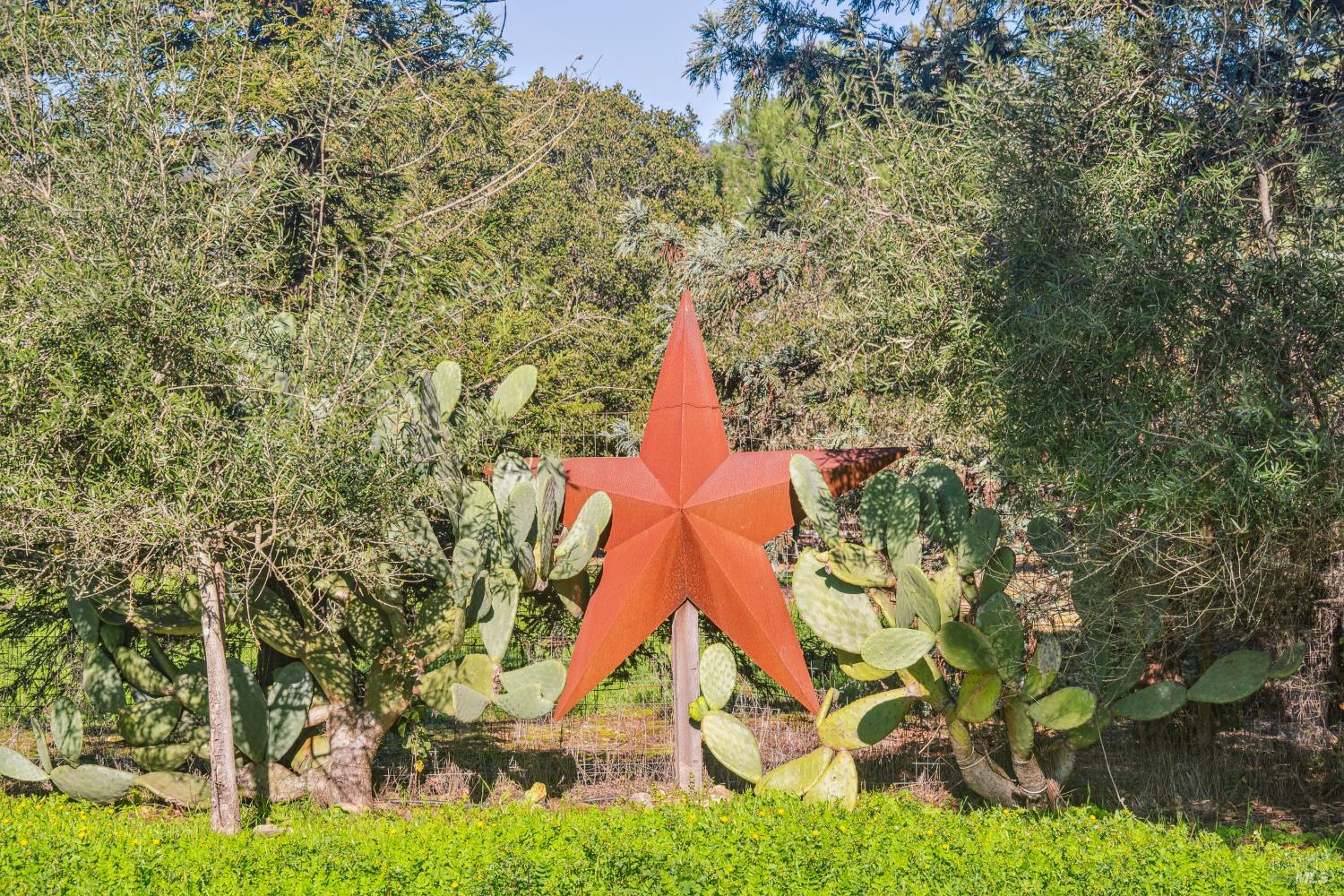 1795 Lovall Valley Road Sonoma, CA 95476 - Photo 37 of 38