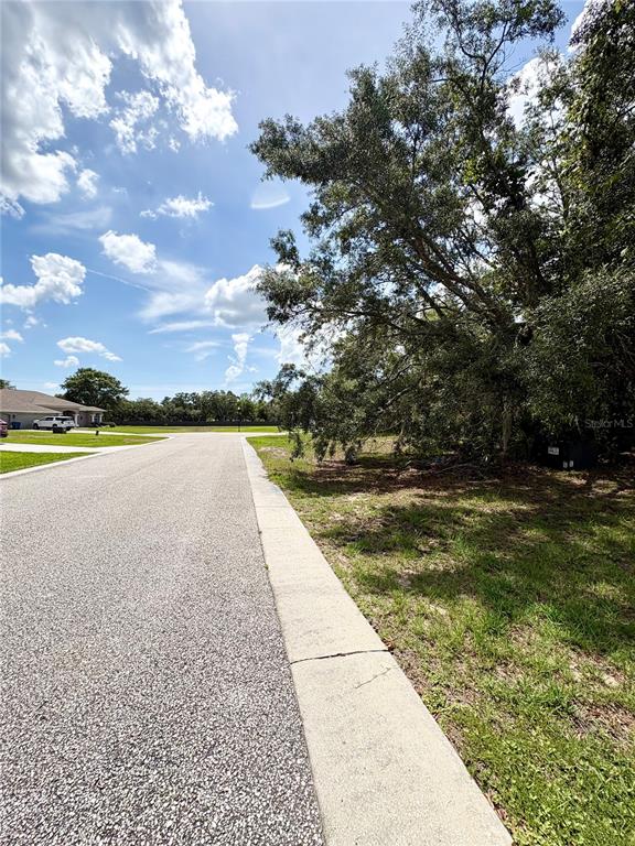 9925 Reindeer Court Spring Hill, FL 34608 - Photo 6 of 8 a view of swimming pool with lounge chair in front of house