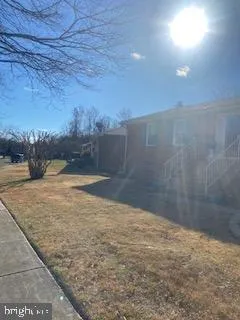 a view of a dry yard