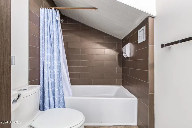 a bathroom with a toilet and a bathtub