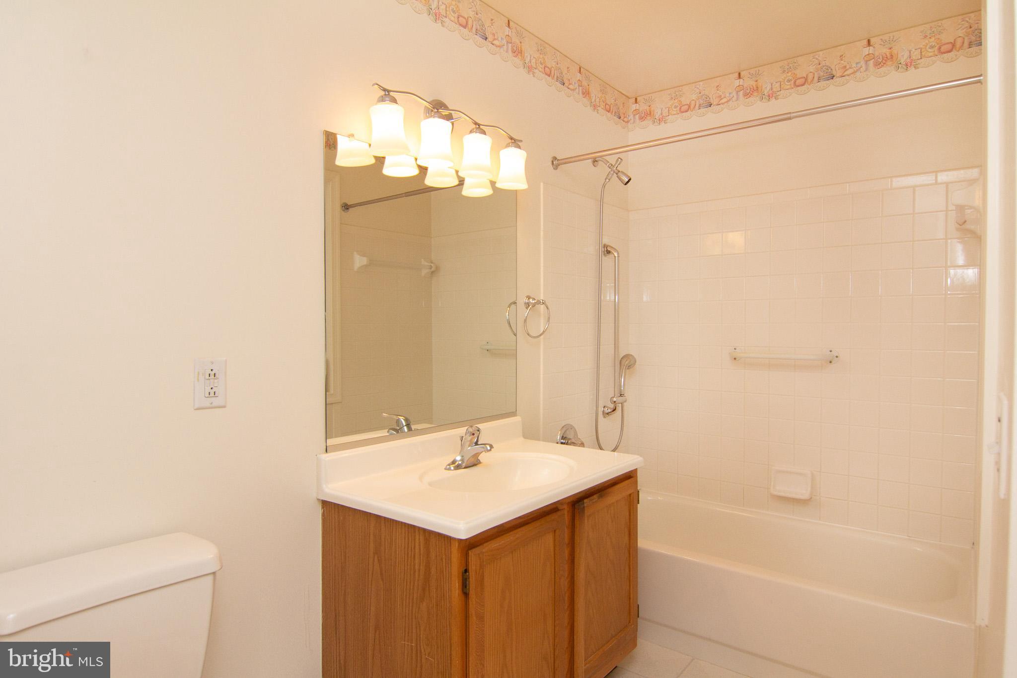 425 Pleasanton Road, Unit C14 Westminster, MD 21157 - Photo 19 of 28 Full bathroom has grab bars in the shower