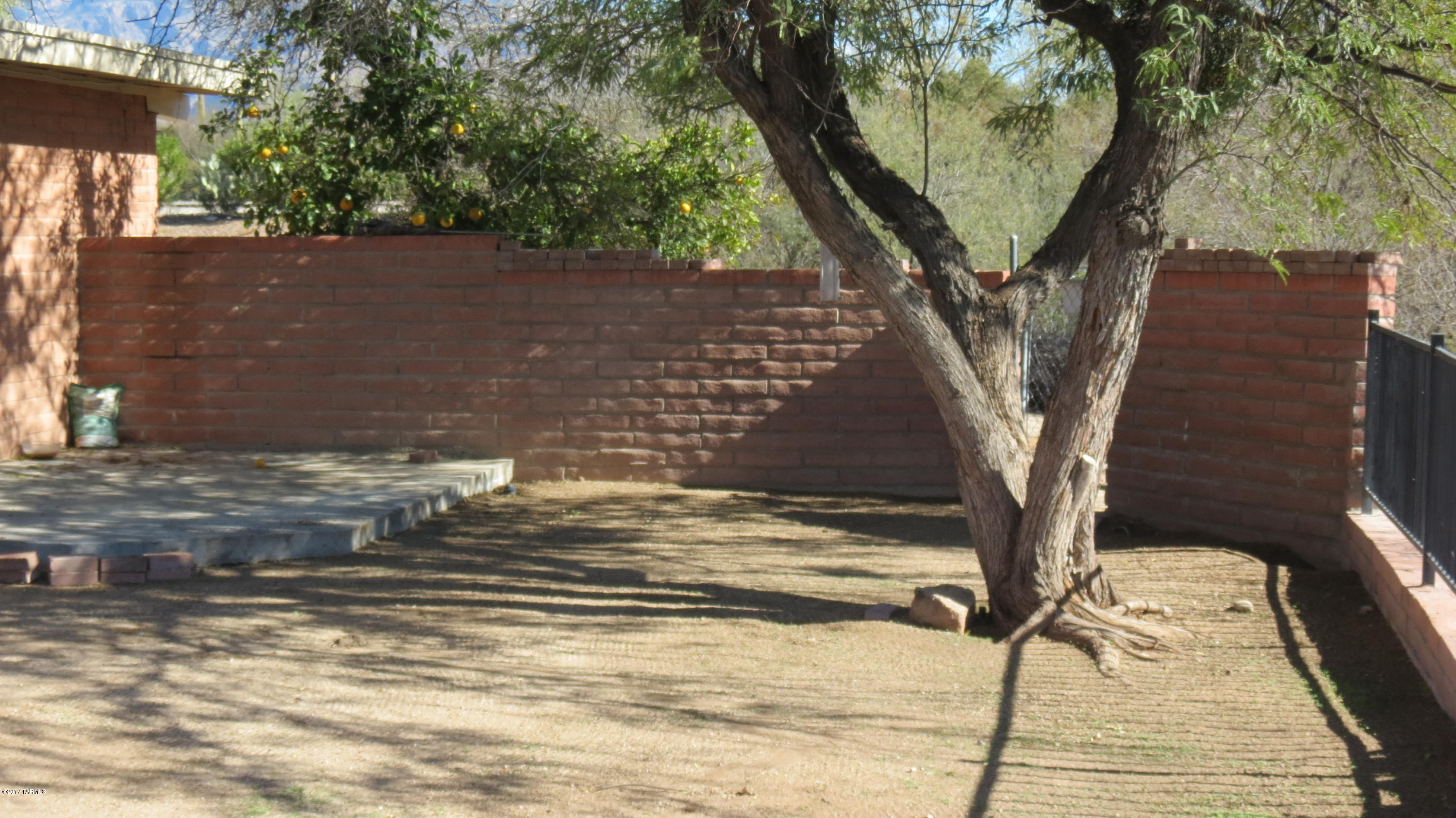 6601 North Mona Lisa Road Tucson, AZ 85741 - Photo 19 of 23 a view of a house with a tree