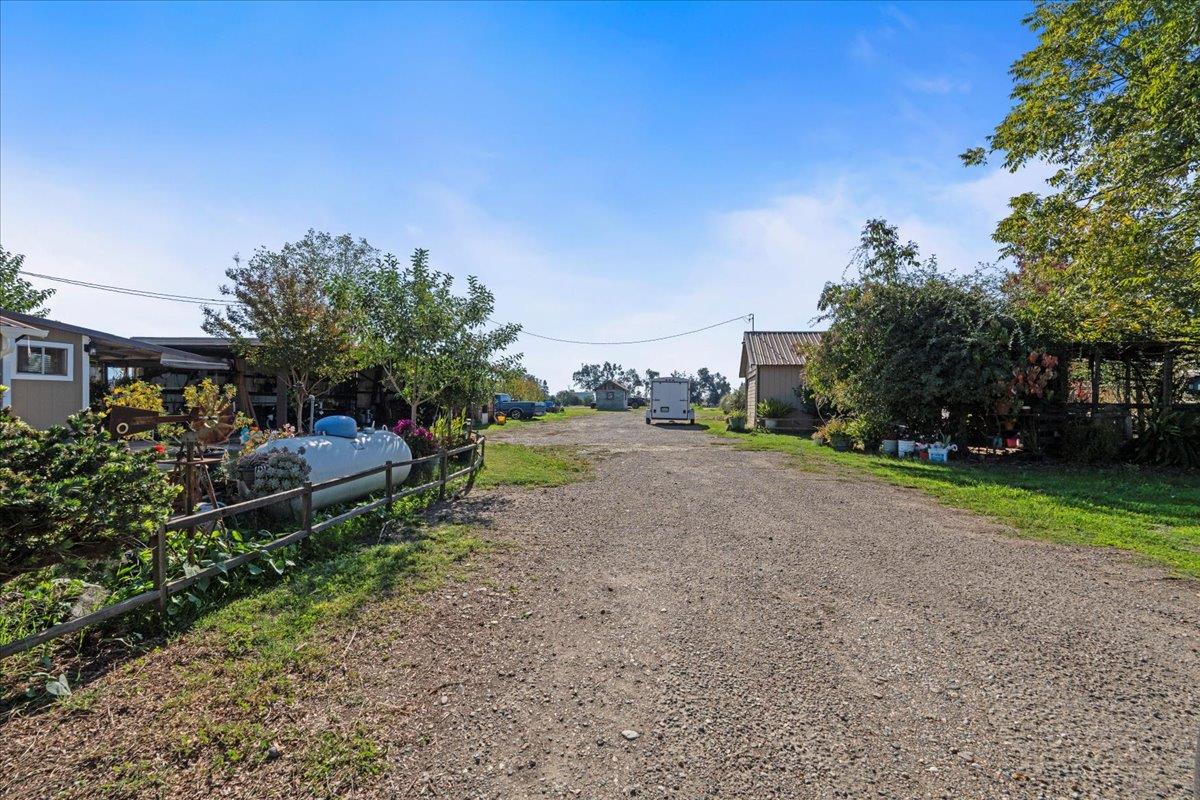23707 North Graham Road Acampo, CA 95220 - Photo 28 of 37 a view of a garden with plants and large trees