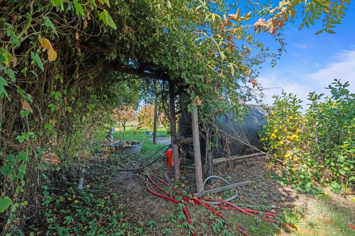 23707 North Graham Road Acampo, CA 95220 - Photo 29 of 37 a view of a backyard