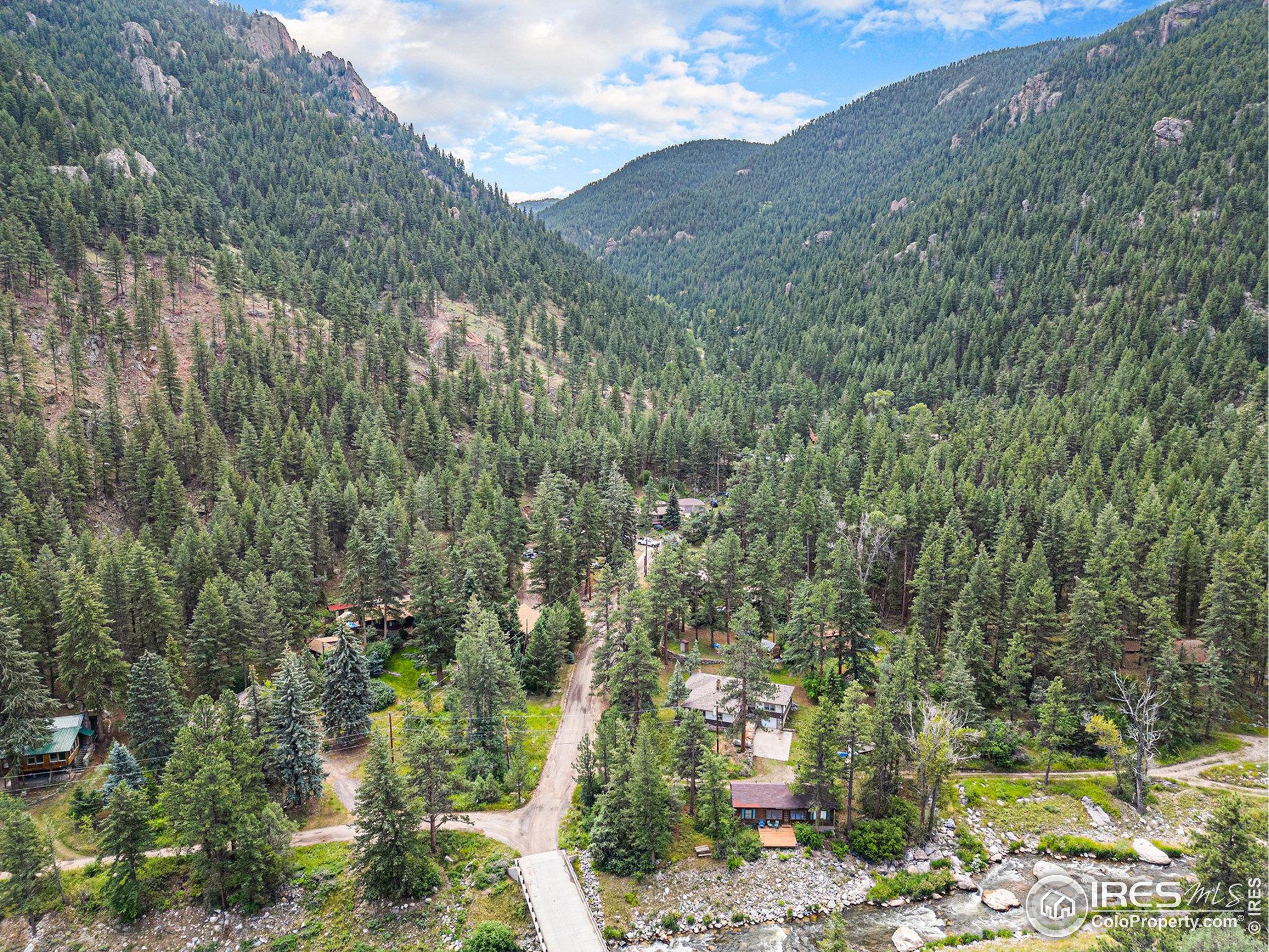 143 Waltonia Road Drake, CO 80515 - Photo 29 of 30 a view of a forest with mountains in the background