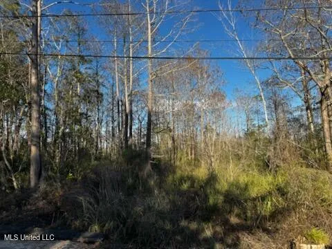 $65,000 | Piute Drive, Kiln, MS 39556