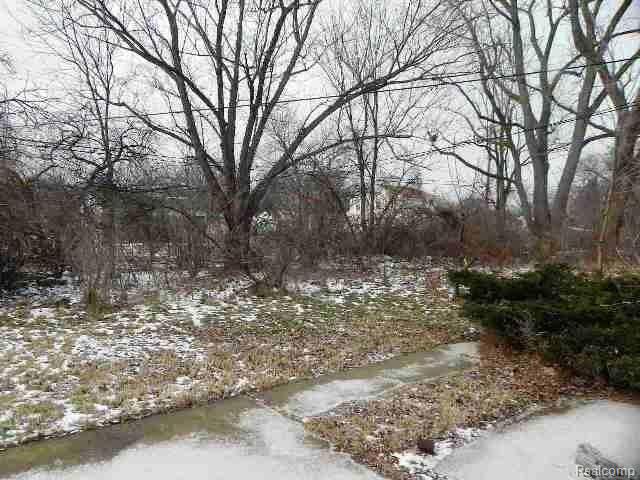 3590 Harriet Street Inkster, MI 48141 - Photo 2 of 28 261-779697 _Yard view 2.JPG