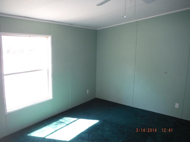 2310 James Peaden Road Baker, FL 32531 - Photo 4 of 7 a view of an empty room and window