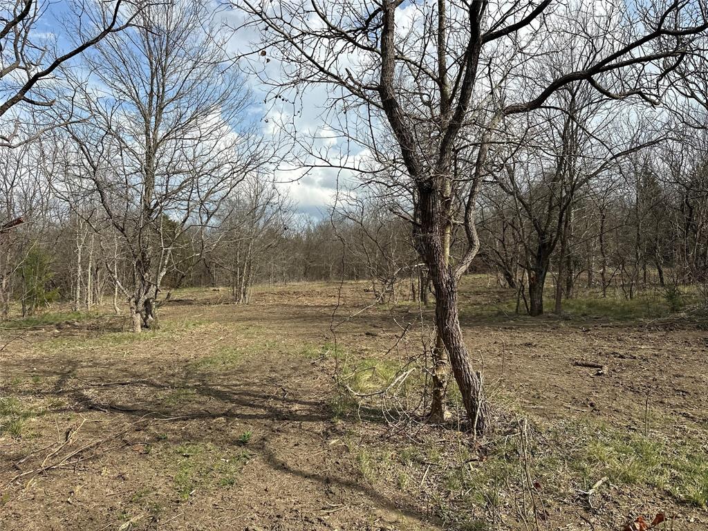 0 Sandswitch Road Ennis, TX 75119 - Photo 11 of 31 a view of a yard with trees