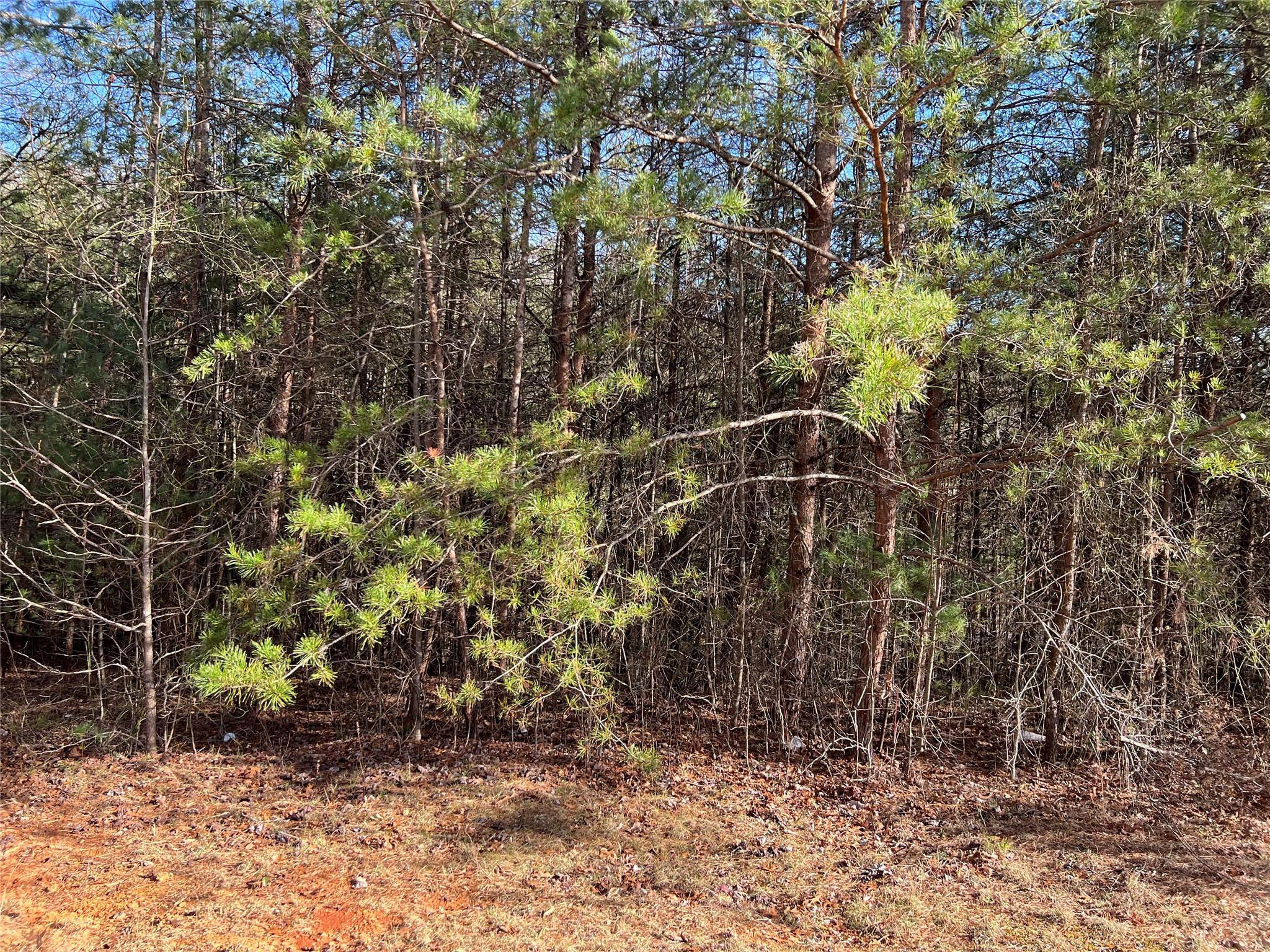 4801 Pea Ridge Road Morganton, NC 28655 - Photo 3 of 7 Gallery Image 3