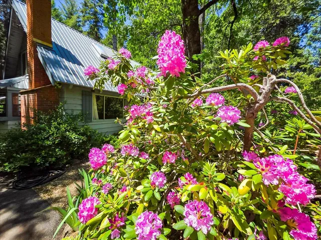 $284,000 | 11306 Winding Way, Clipper Mills, CA 95930