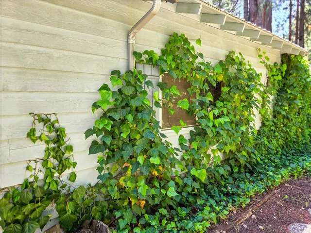 $284,000 | 11306 Winding Way, Clipper Mills, CA 95930