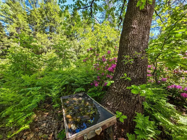 $284,000 | 11306 Winding Way, Clipper Mills, CA 95930